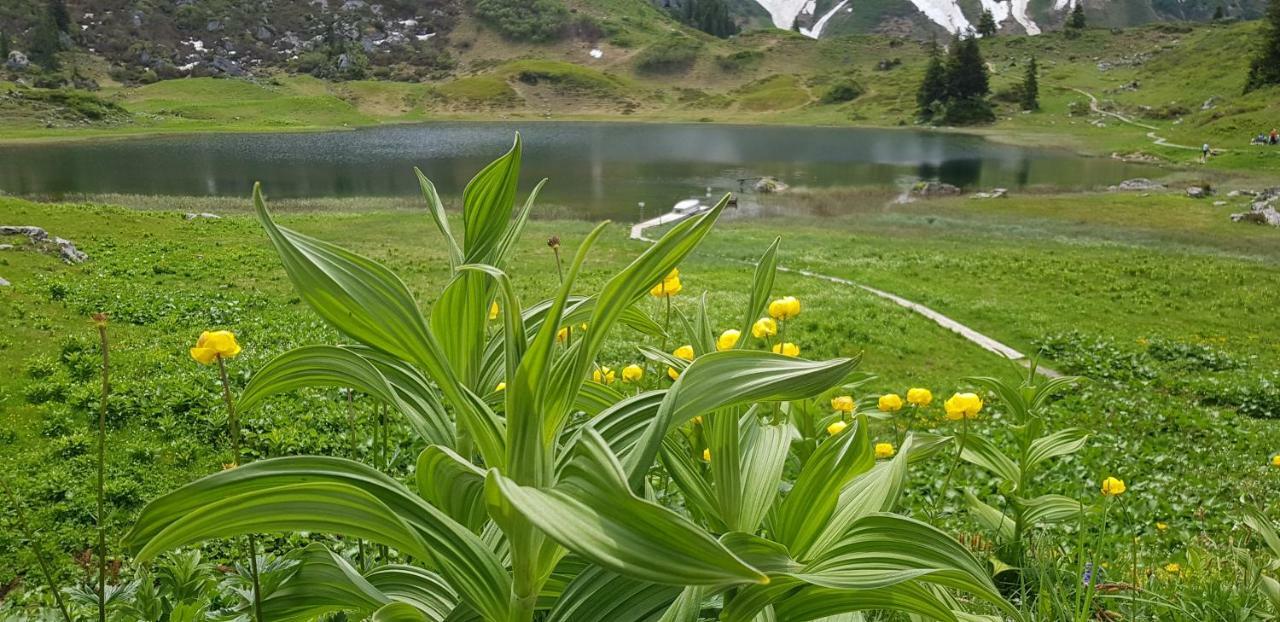 Апартаменты Residenz Tirol Lechleiten Экстерьер фото